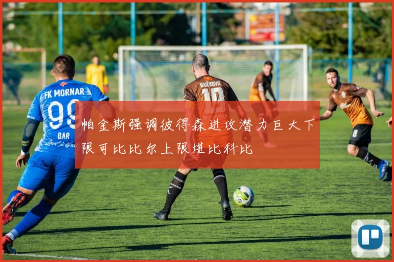 帕金斯强调彼得森进攻潜力巨大下限可比比尔上限堪比科比