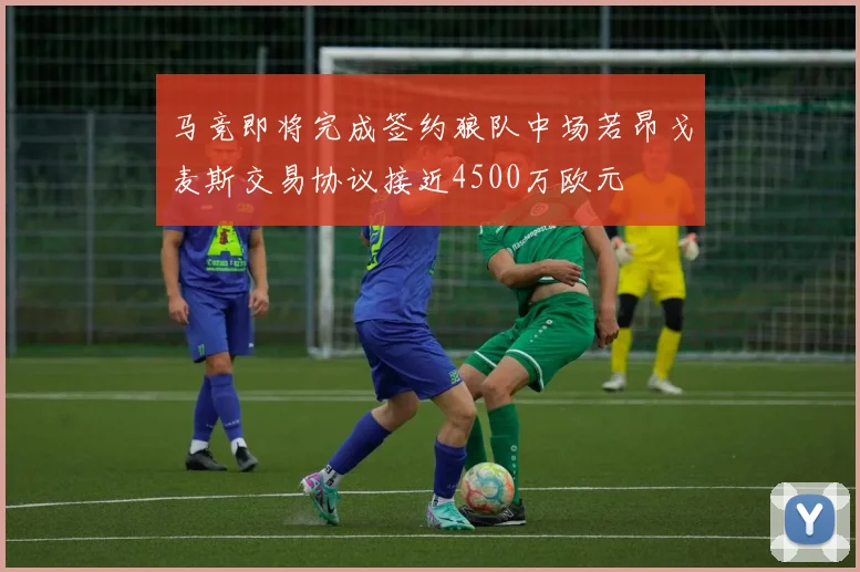 马竞即将完成签约狼队中场若昂戈麦斯交易协议接近4500万欧元